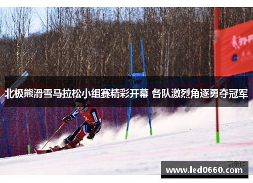 北极熊滑雪马拉松小组赛精彩开幕 各队激烈角逐勇夺冠军